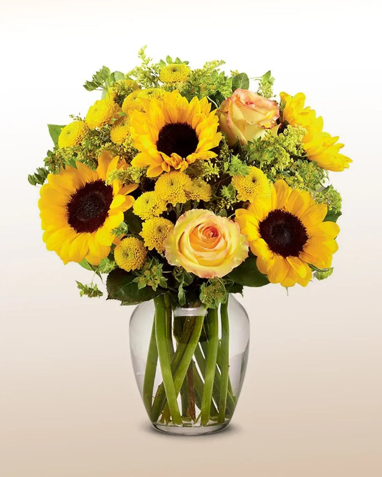 Girasoles