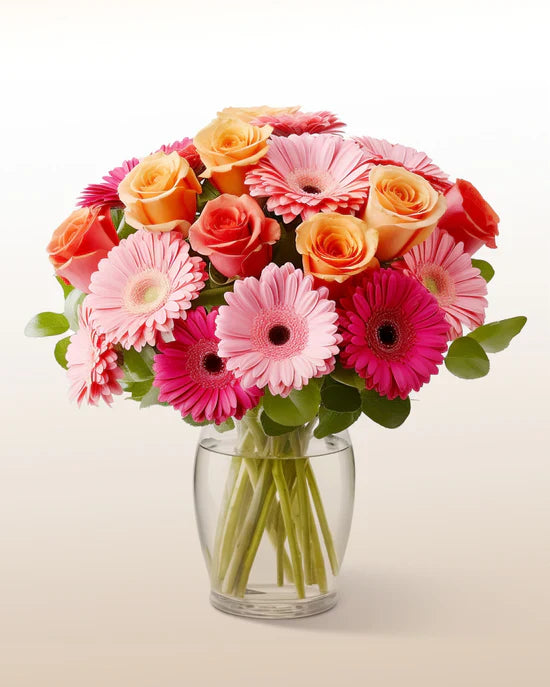 Gerberas